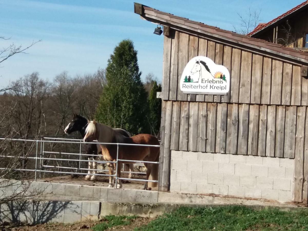 Ferienwohnung Auf Dem Erlebnisreiterhof Kreipl Grattersdorf Esterno foto